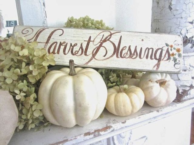 white pumpkins and a sign