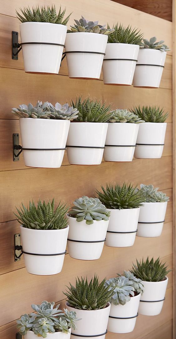 create a whole succulent garden attaching planters to the wall
