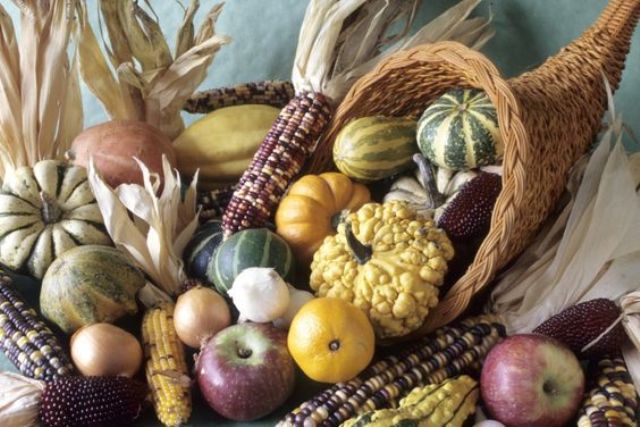 large cornucopia with gourds, pumpkins, corn and apples