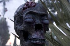 13 very scary and realistic zombie skulls for tropics