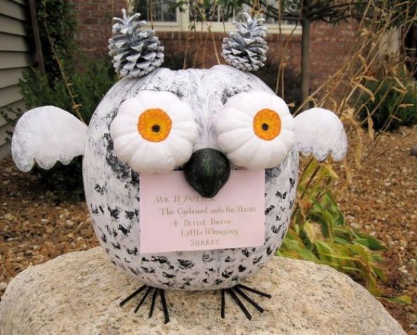 pumpkin turned into an owl with a letter using pinecones and gourds for eyes