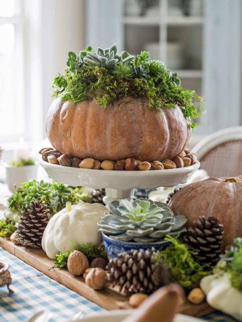 fresh pumpkin into a rustic planter for assorted succulents surrounded by other fall elements