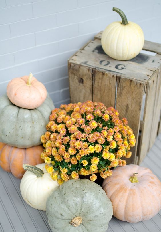 chalk painted pumpkins and orange flowers for a fall porch