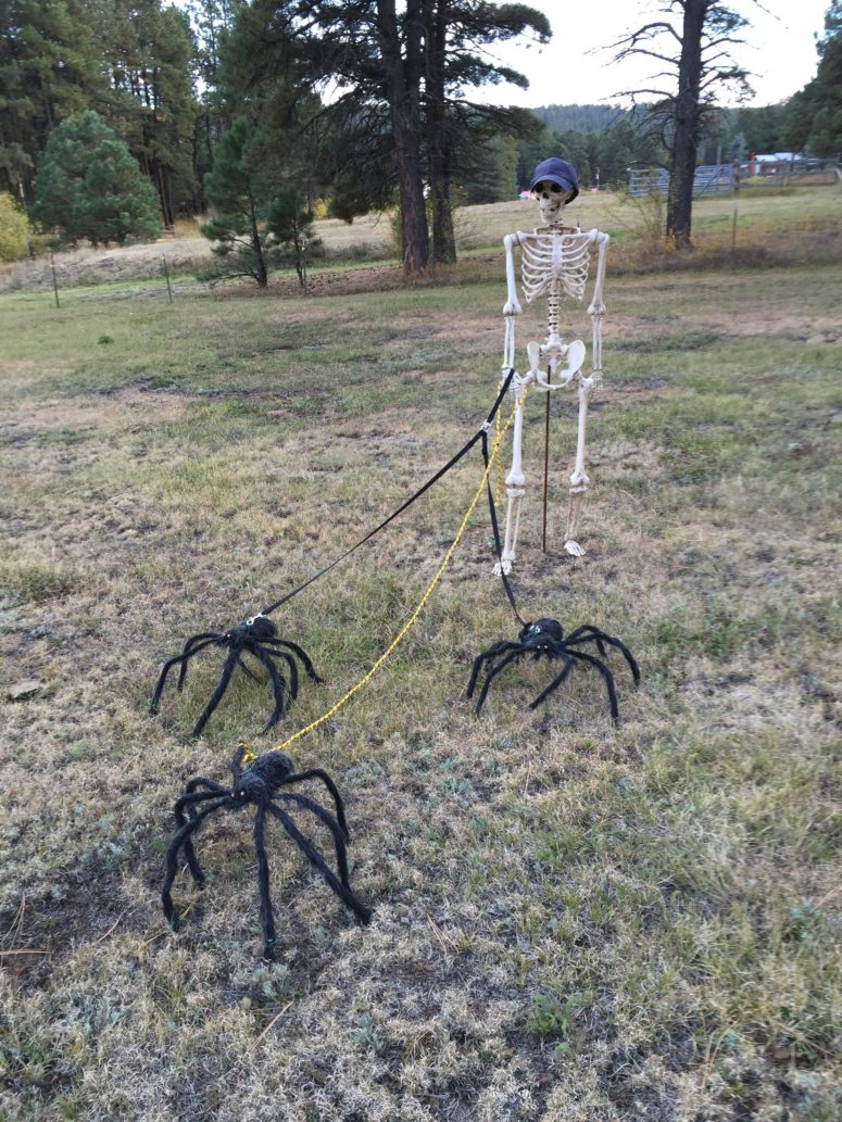 Create a Spooky Paradise: 10 Creative Halloween Yard Decorations to ...