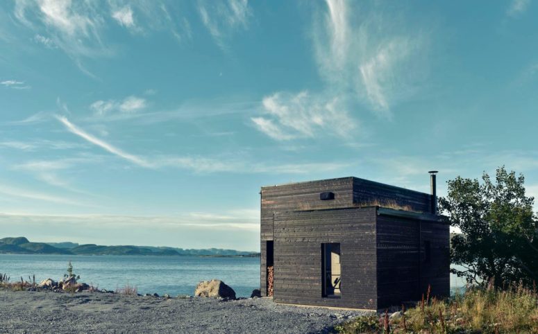 Modern Coastal Cabin With A Lot Of Wood In Decor