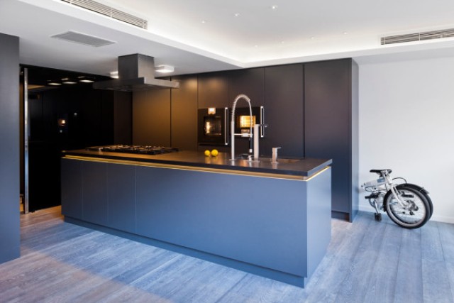 moody kitchen The kitchen features dark grey cabinets and stainless steel appliances, it's laconic and functional, a bit moody