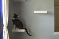 18 cat shelves of Lack to let your cats have fun