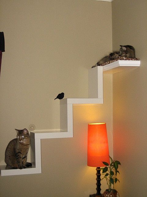 IKEA Lack shelves turned into a staircase for cats