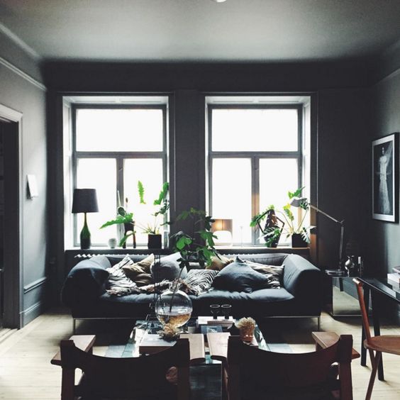 moody living room in dark grey and black flooded with light and enlivened with greenery