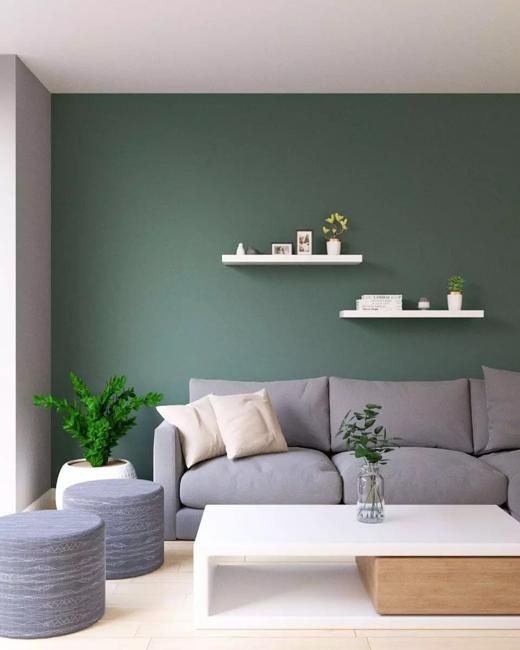 Green And Grey Living Room Decor Ideas