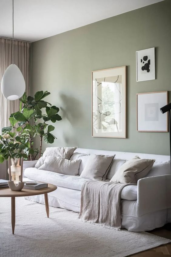 a relaxed living room with a light green accent wall, a white sofa with pillows, a gallery wall, a coffee table and some greenery