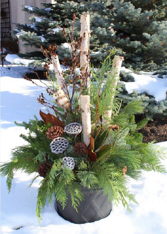 a bucket with evergreens, branches, lotus and pinecones