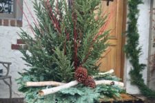 04 a container with fir trees, branches and pinecones