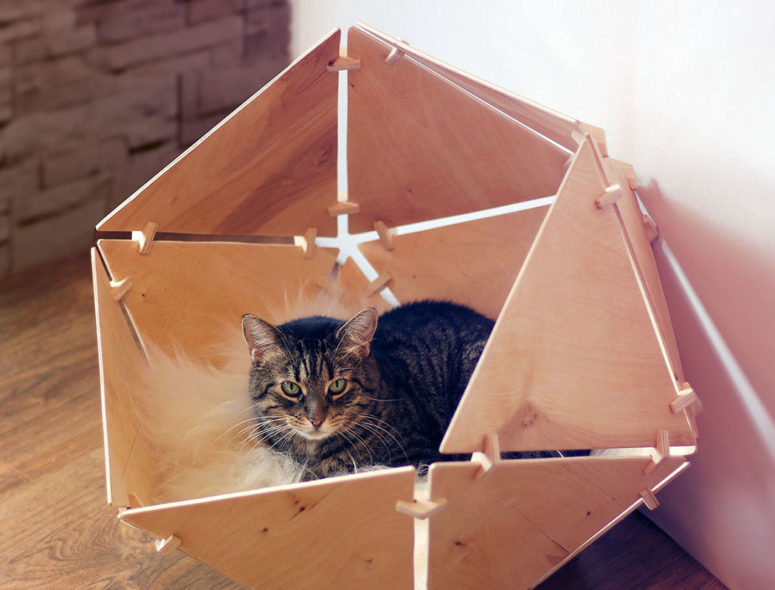Most of cats prefer having some personal space and they deserve the best something like this trendy cat bed Most of cats prefer having some personal space and they deserve the best - something like this trendy cat bed