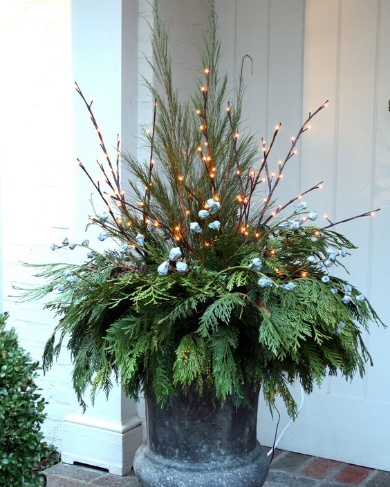 a holiday container with greens, berries and lights