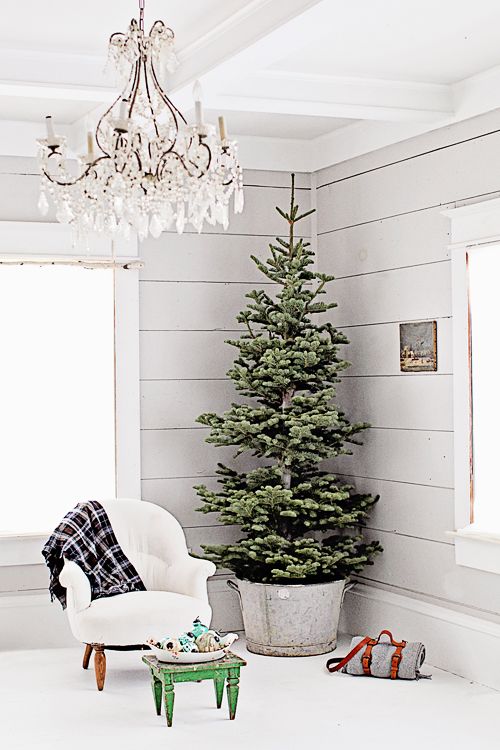 a zinc washbasin is a way to add a shabby and rustic feel to your tree