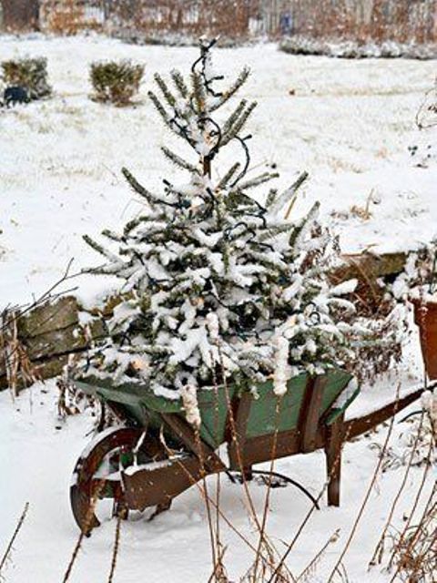 a snowy tree in a garden cart is a cute idea and looks natural