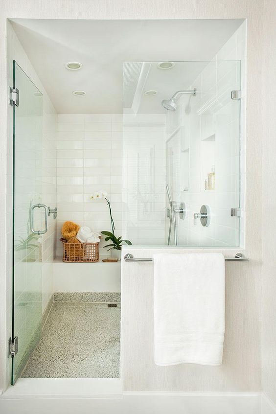 luxurious white shower with a frameless glass door and potted flowers