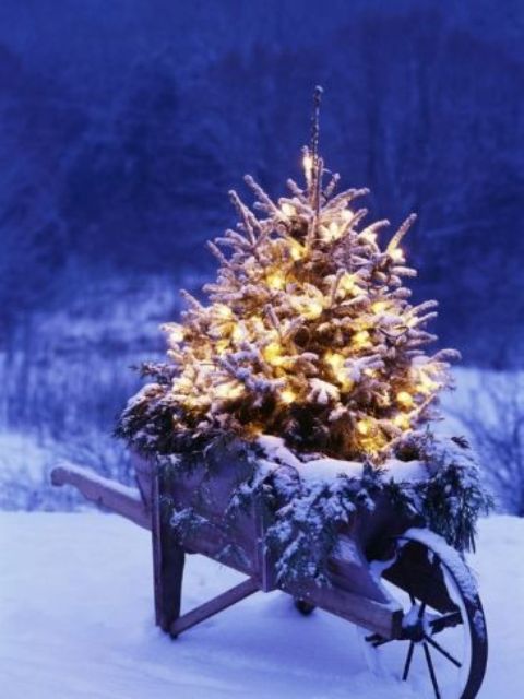 lighted and snowy Christmas tree in a wheelbarrow