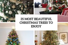 35 most beautiful christmas trees to enjoy cover