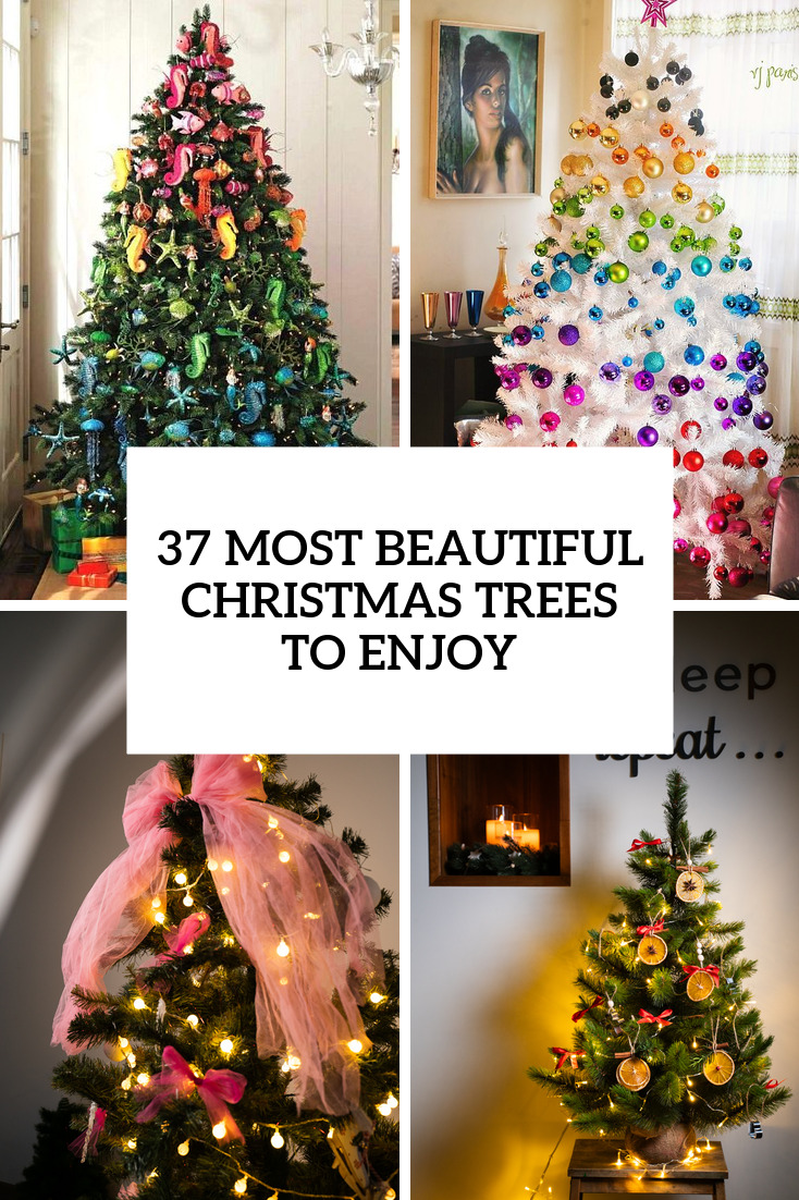35 Most Beautiful Christmas Trees To Enjoy