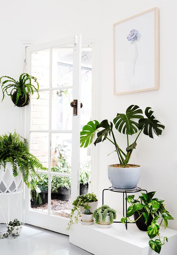 use various displays and stands if you have a lot of greenery