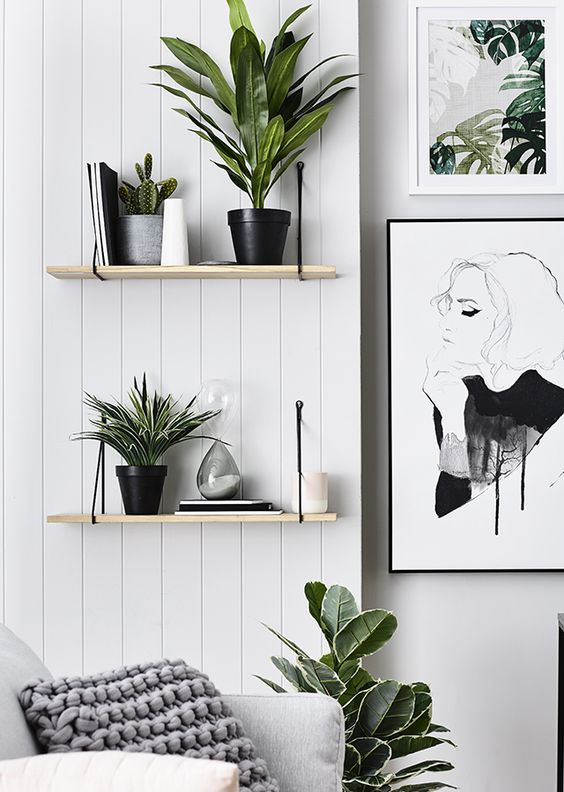 hang some shelves to display the greenery and plants of your choice