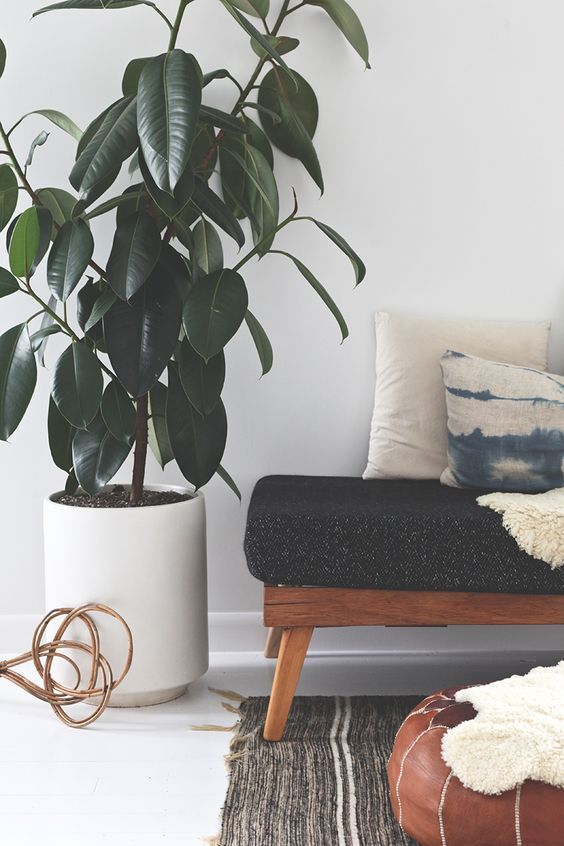 35 Chic Ways To Rock Plants In Your Interiors DigsDigs