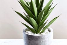 27 concrete succulent pot is a trendy piece to make