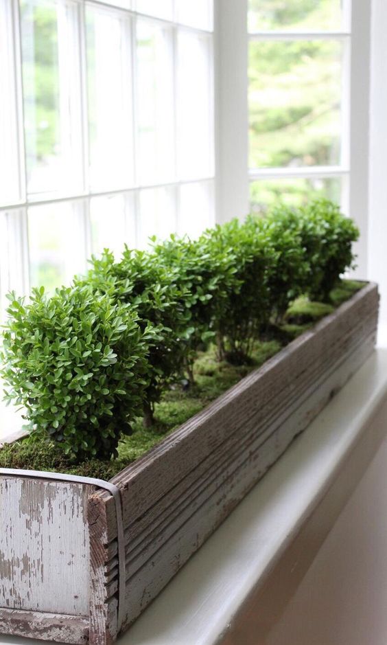 35 Chic Ways To Rock Plants In Your Interiors - DigsDigs