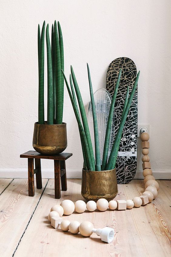 stylish copper planters of one look will keep the style