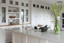 23 white quartz countertops, cabinets and some green plants for a eco-friendly home