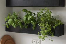20 stylish modern chalkboard wall planters with fresh herbs