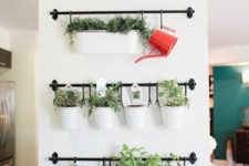 22 hang herbs in pots on metal shelves and have fresh greenery every time