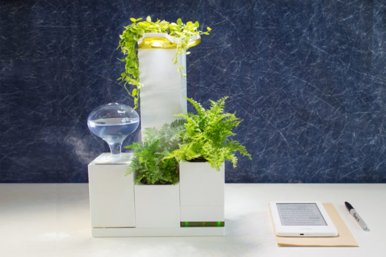 Each pot has a water reservoir and there's an artificial sun so that you could grow plants in low light aambiences