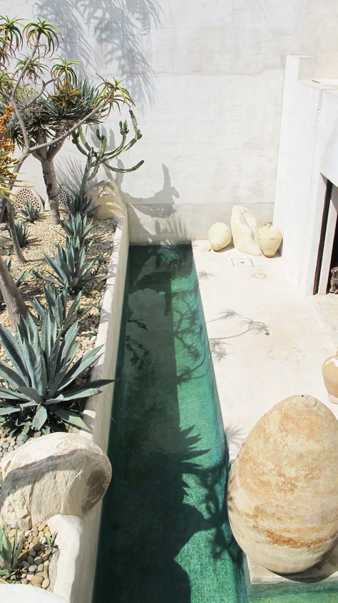 a tiny backyard with desert plants and a narrow pool to avoid heat