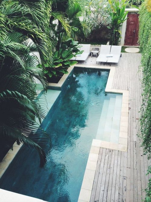 a small decked backyard with tropical plants and a narrow pool for refreshing