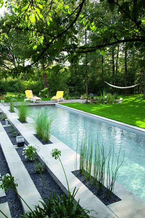 a small narrow pool with bamboo growing on its side to feel nature