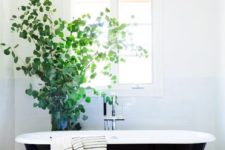 31 a black and white vintage-inspired bathroom with a large potted plant looks alive