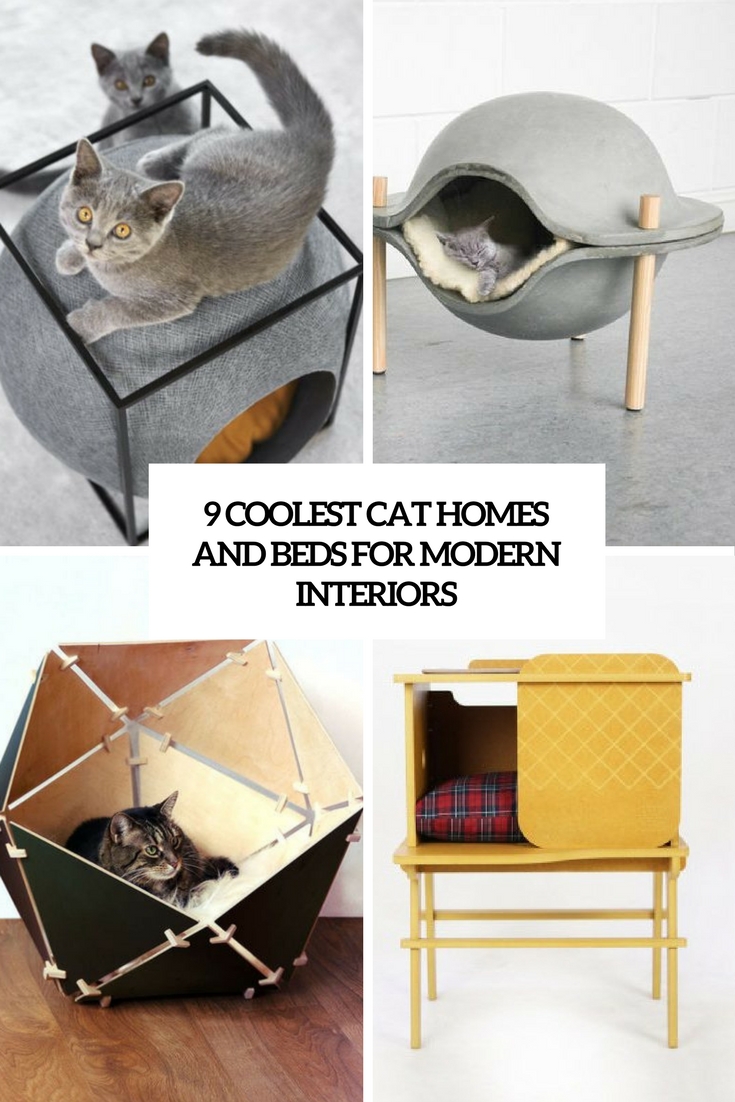 coolest cat beds and homes for modern interiors cover