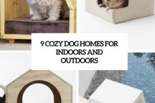 9 cozy dog homes for indoors and outdoors cover