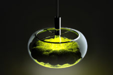 01 The Mosslamp is a unique piece with a living moss plant inside