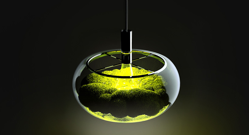 The Mosslamp is a unique piece with a living moss plant inside