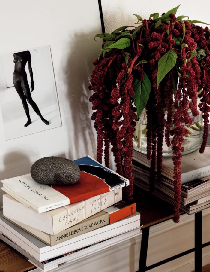Books, magazines and unique plants become a part of the decor of this unique clean space
