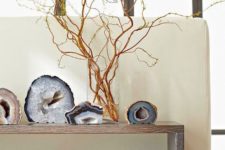 10 agate slices on display on a wooden shelf with a driftwood piece