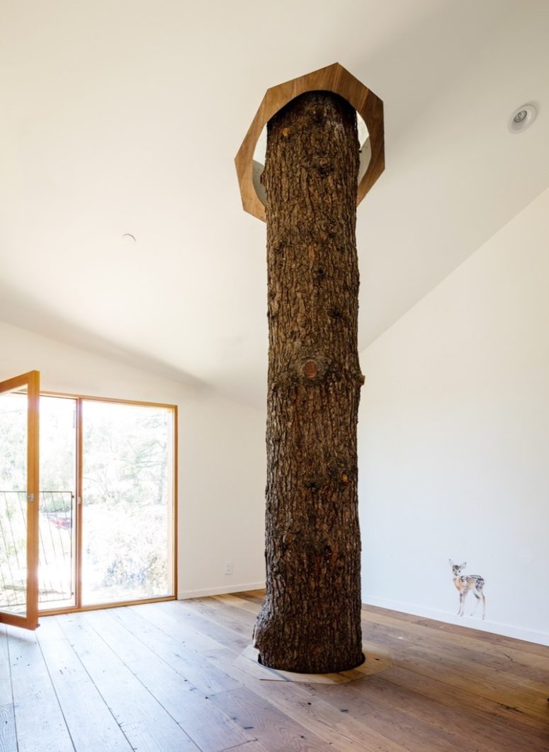 A mature and very tall tree rises through the floor and pierces the ceiling, its trunk becoming a part of the home