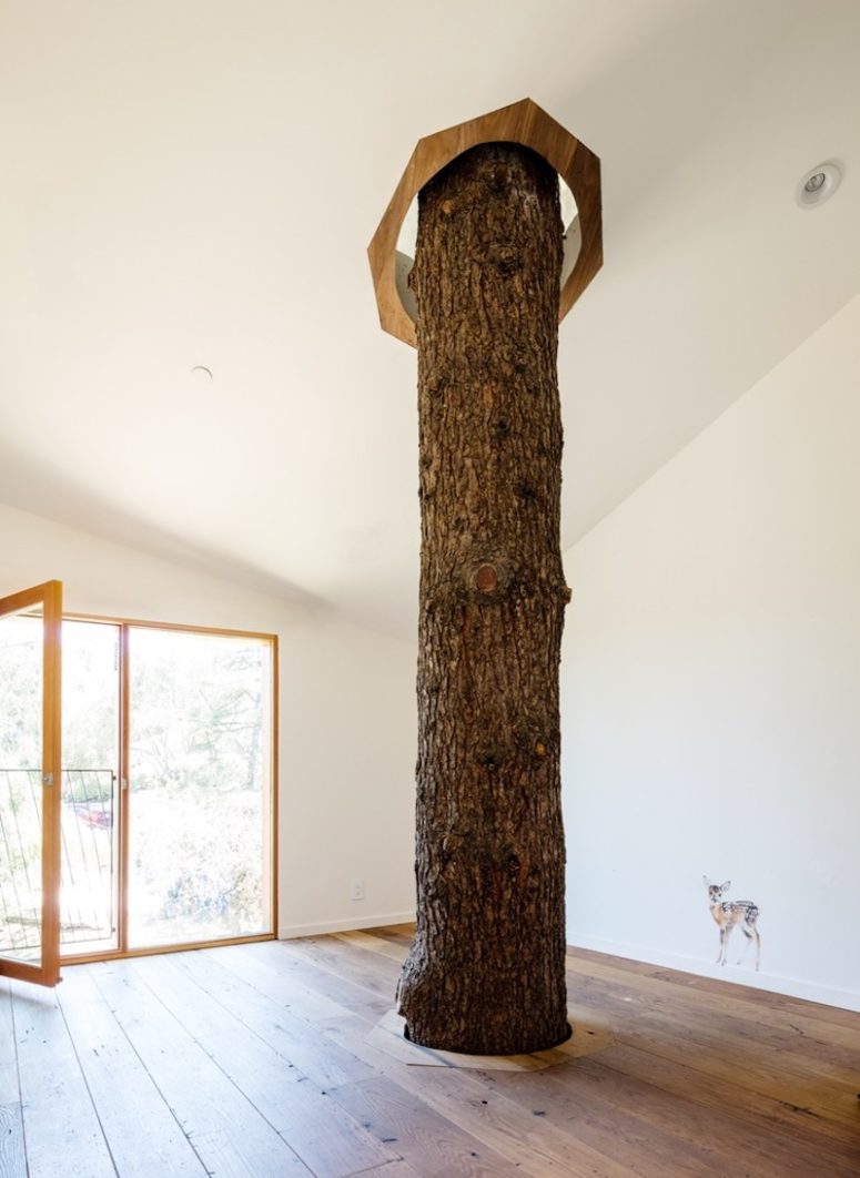 A mature and very tall tree rises through the floor and pierces the ceiling, its trunk becoming a part of the home A mature and very tall tree rises through the floor and pierces the ceiling, its trunk becoming a part of the home