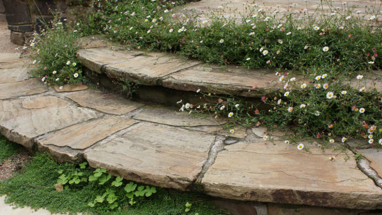 There are just few flowers - these small ones in between the garden steps to fill the garden with freshness