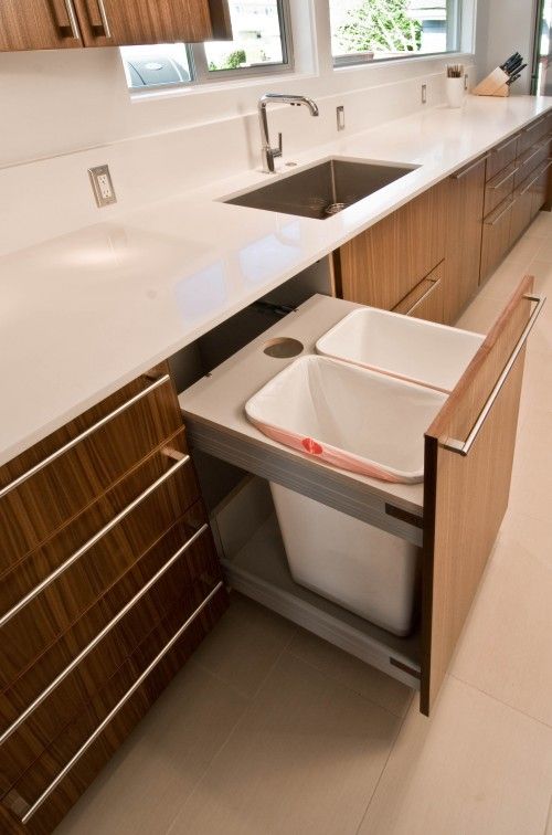 two large trash cans hidden in one of the kitchen cabinets is a timeless way to hide the eye sore