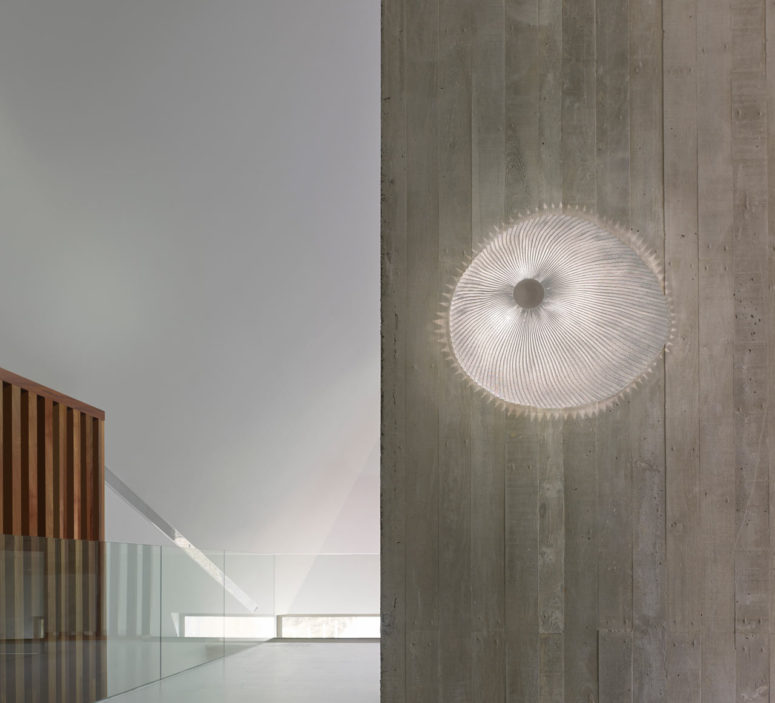 ONN lamp collection is inspired by sea creatures, seaweed, shells and jelly fish and mimics them